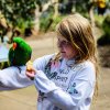 Australien Album